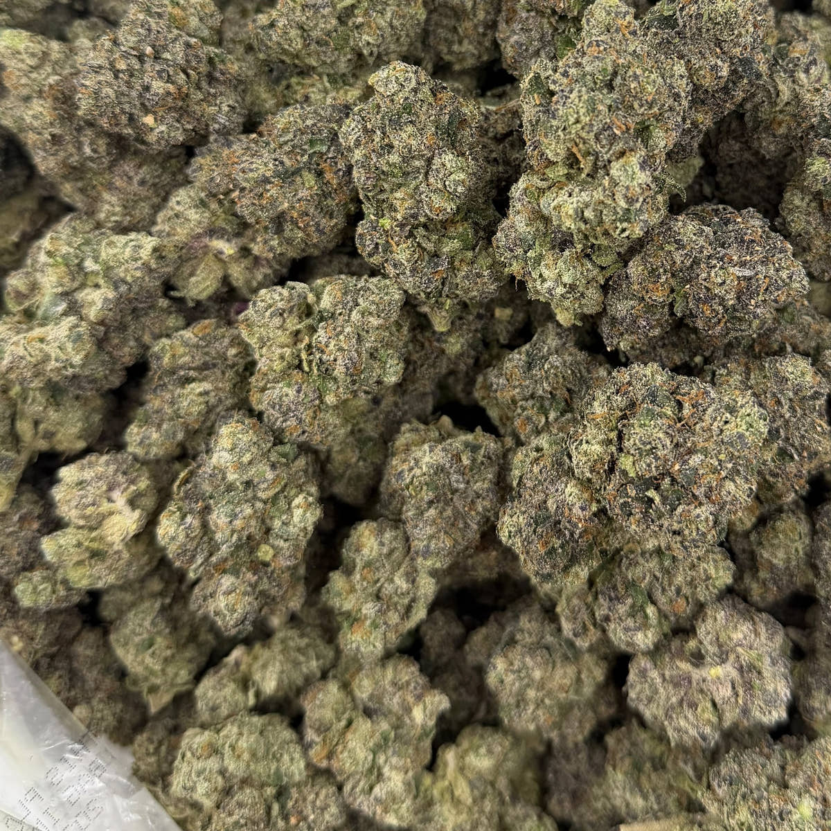Candy Mob bulk THCA flower — Plain Jane 1 lb