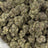 Candy Mob bulk THCA flower — Plain Jane 1 lb