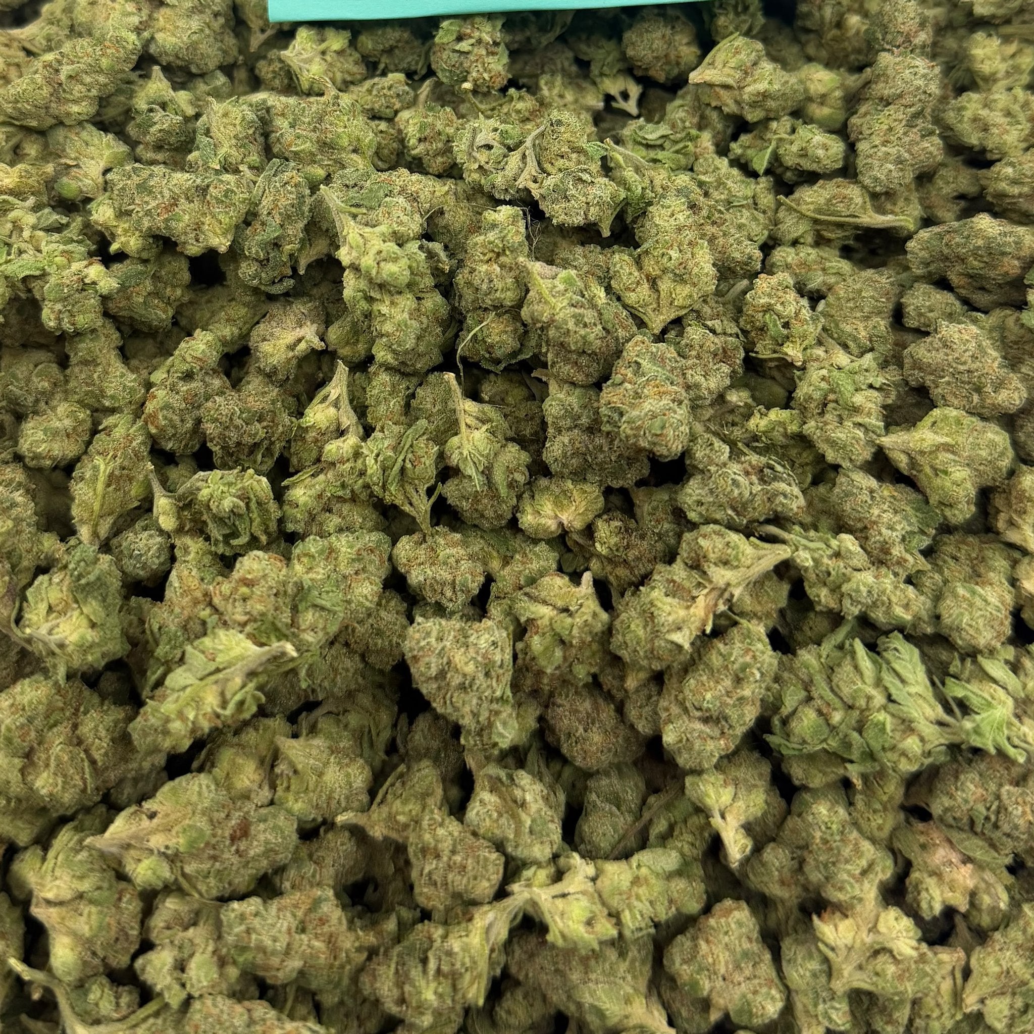 Candy Paint bulk THCA flower — Plain Jane 1 lb