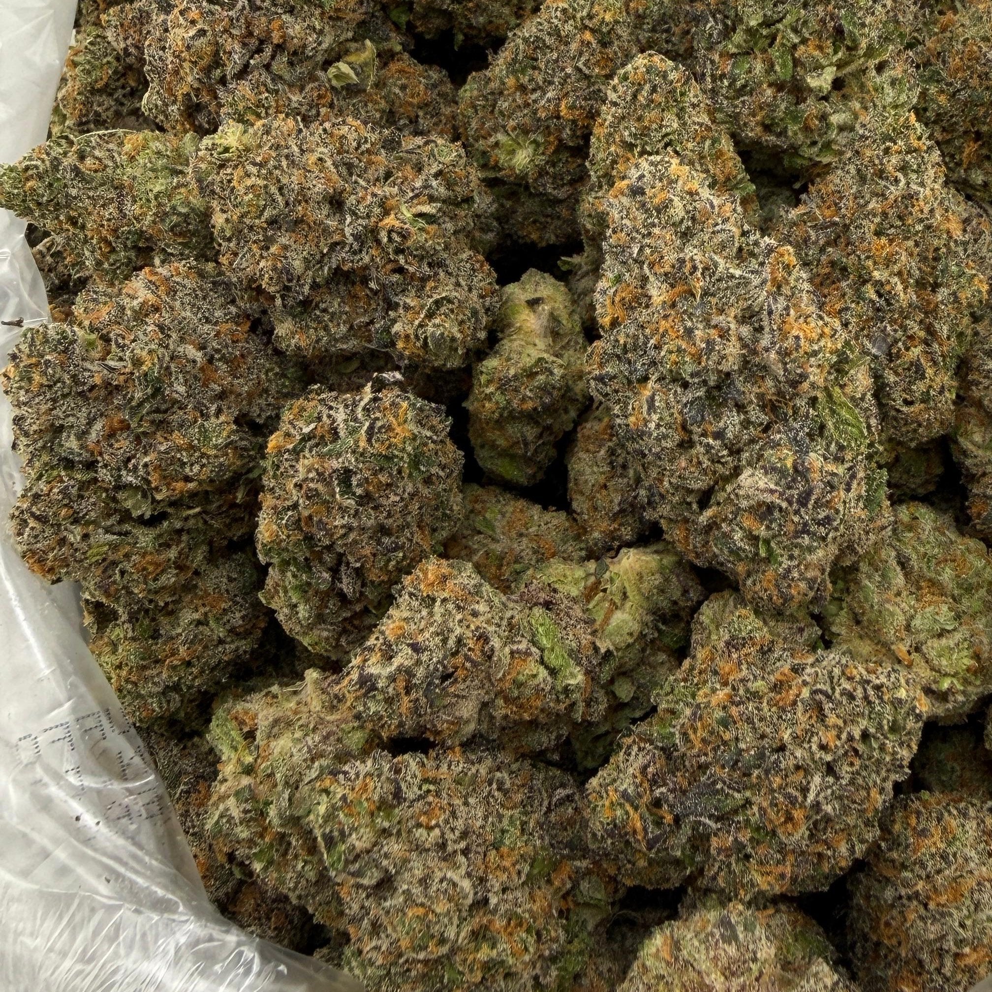 Candy Paint bulk THCA flower — Plain Jane 1 lb