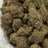 Candy Paint bulk THCA flower — Plain Jane 1 lb