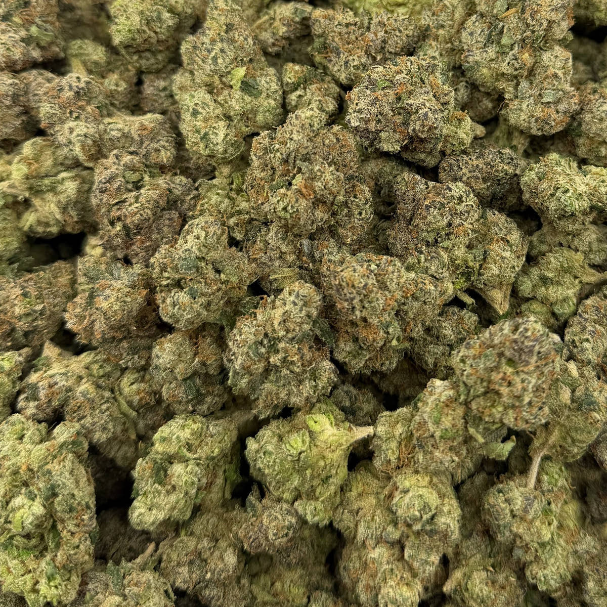 Candy Slapz bulk THCA flower — Plain Jane 1 lb