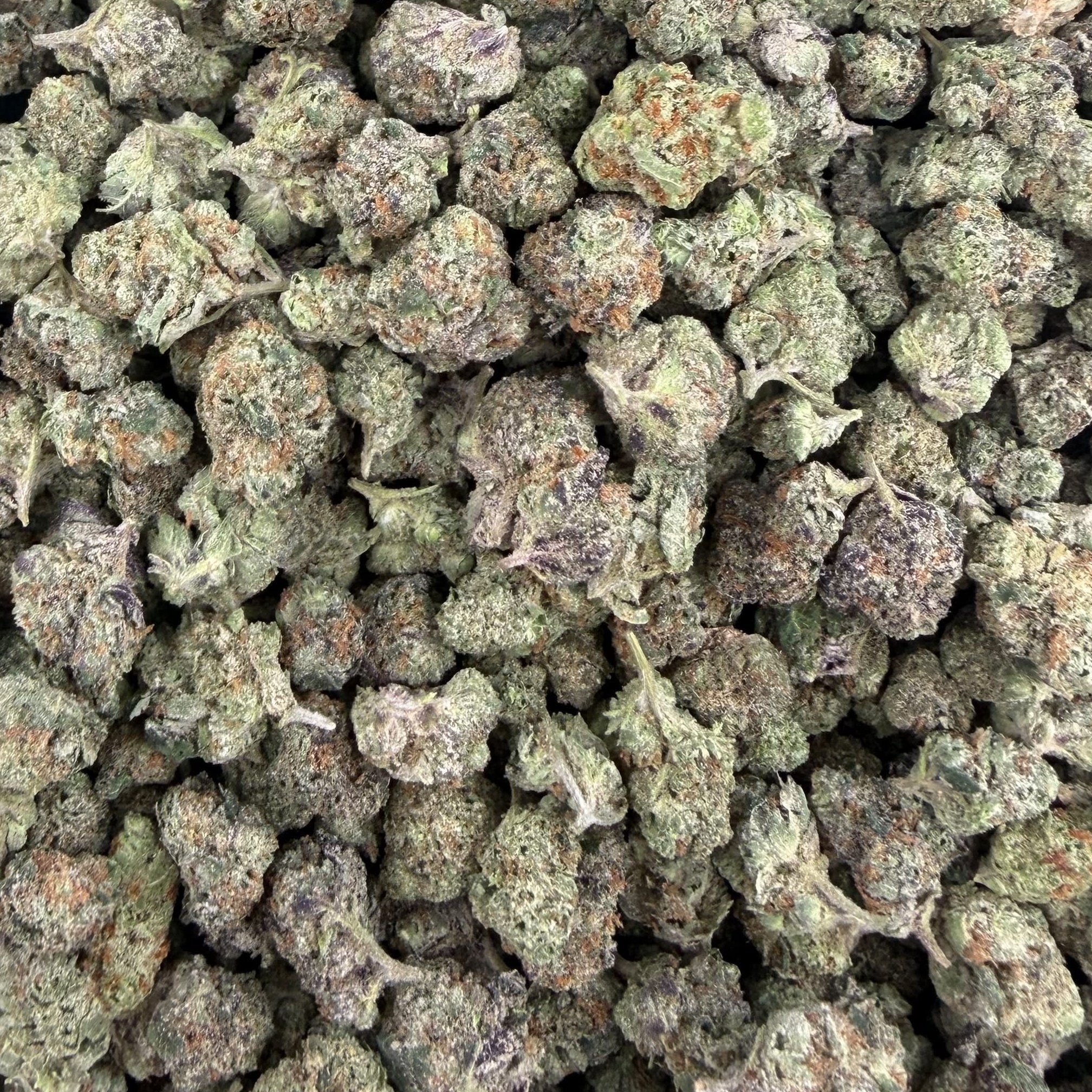 Candy Truffle bulk THCA flower — Plain Jane 1 lb