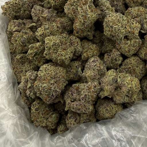 Cap City bulk THCA flower — Plain Jane 1 lb