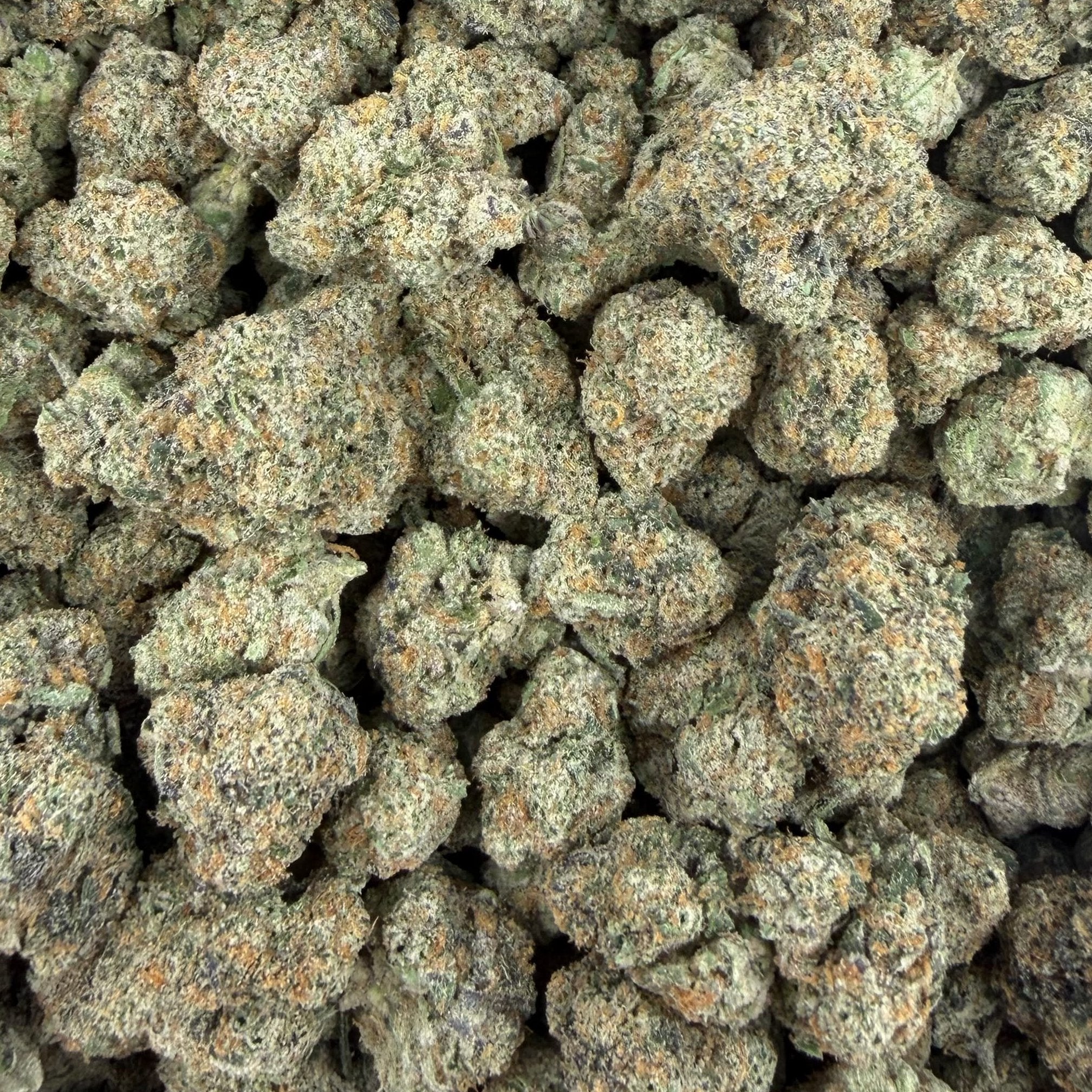 Cap City Kush bulk THCA flower — Plain Jane 1 lb