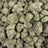 Cap City Kush bulk THCA flower — Plain Jane 1 lb
