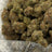 Cap Junkie bulk THCA flower — Plain Jane 1 lb