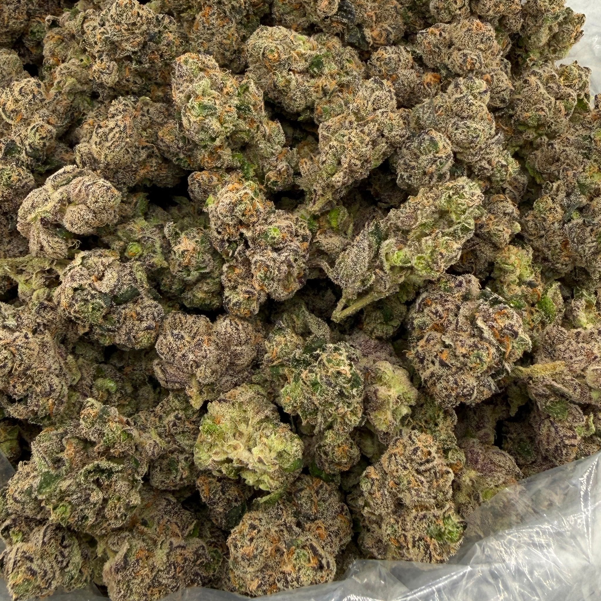 Capricorn bulk THCA flower — Plain Jane 1 lb