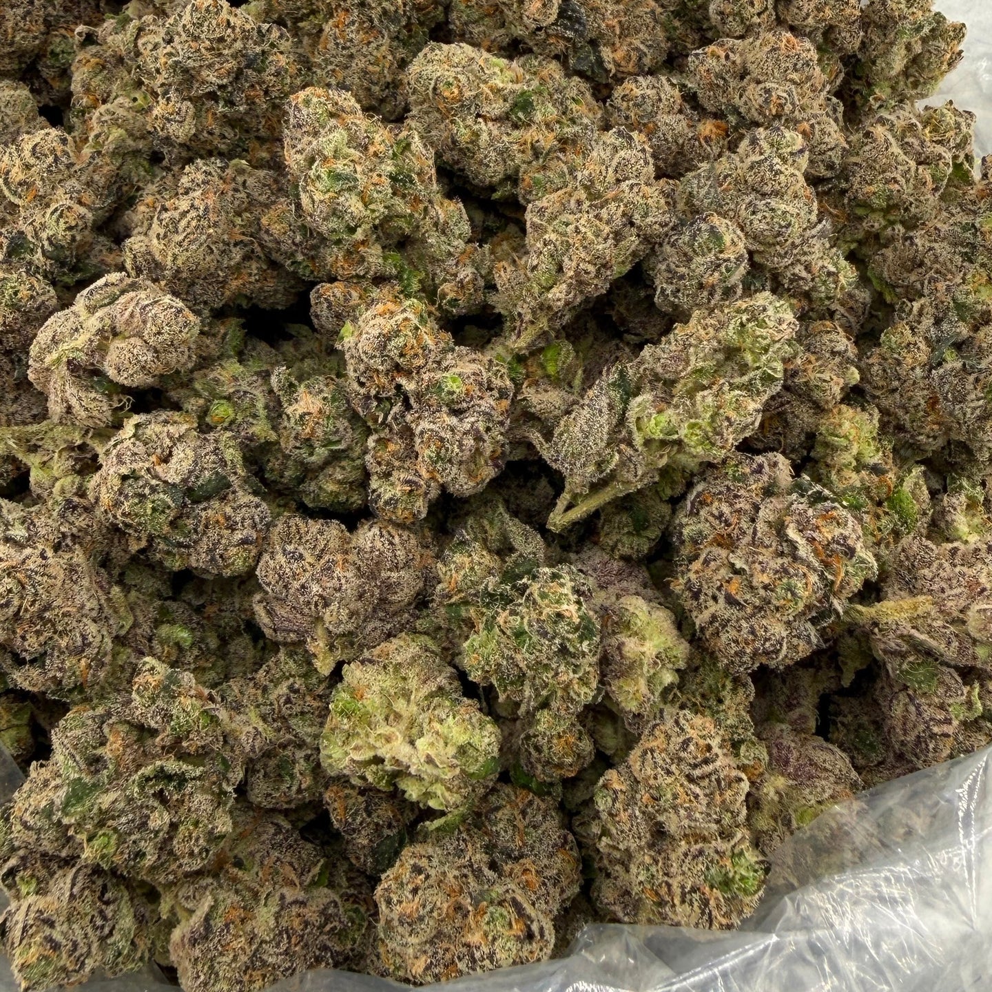 Capricorn bulk THCA flower — Plain Jane 1 lb