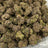 Capricorn bulk THCA flower — Plain Jane 1 lb