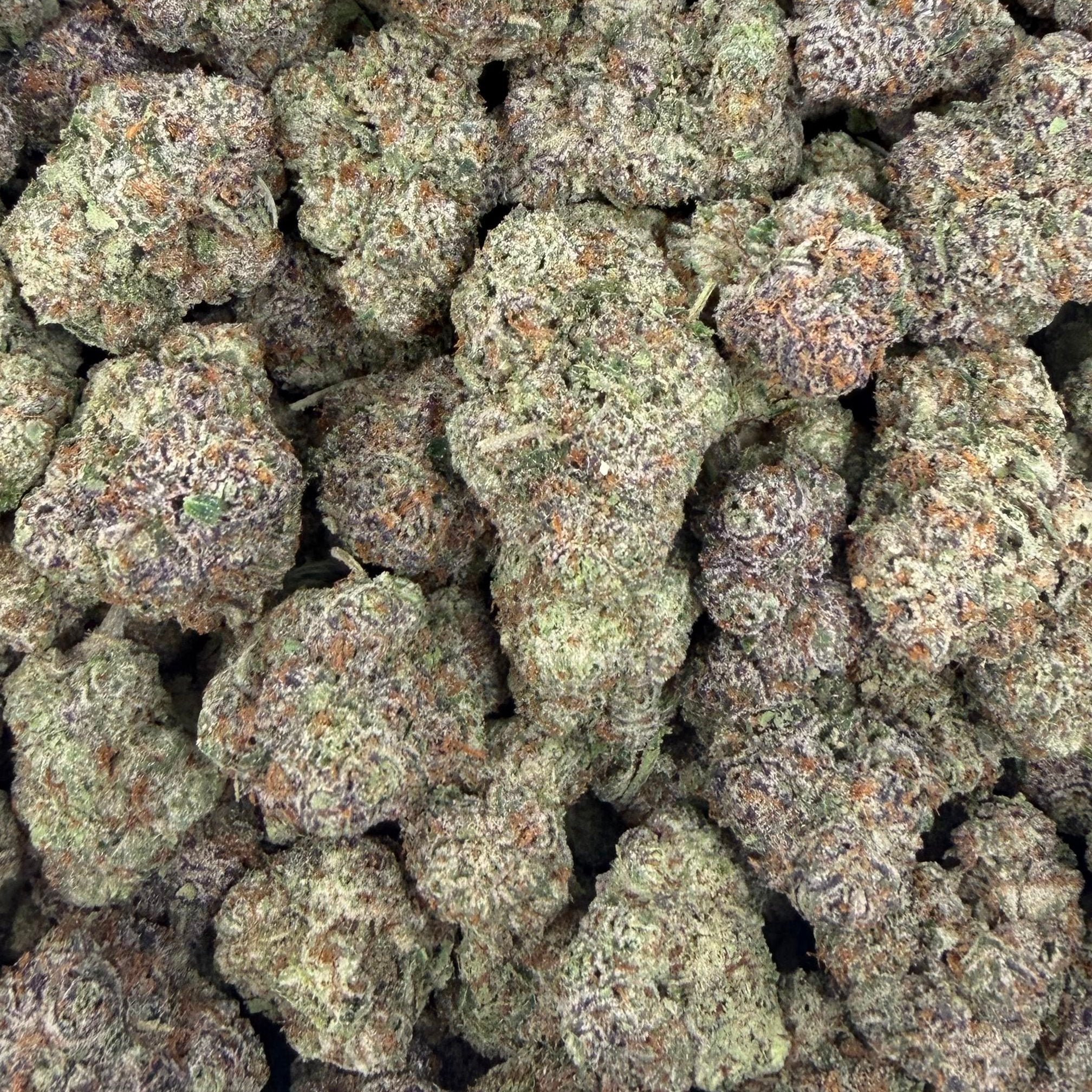 Capricorn bulk THCA flower — Plain Jane 1 lb