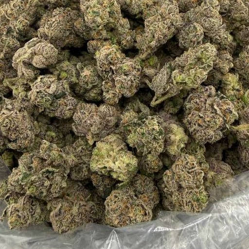 Capricorn bulk THCA flower — Plain Jane 1 lb