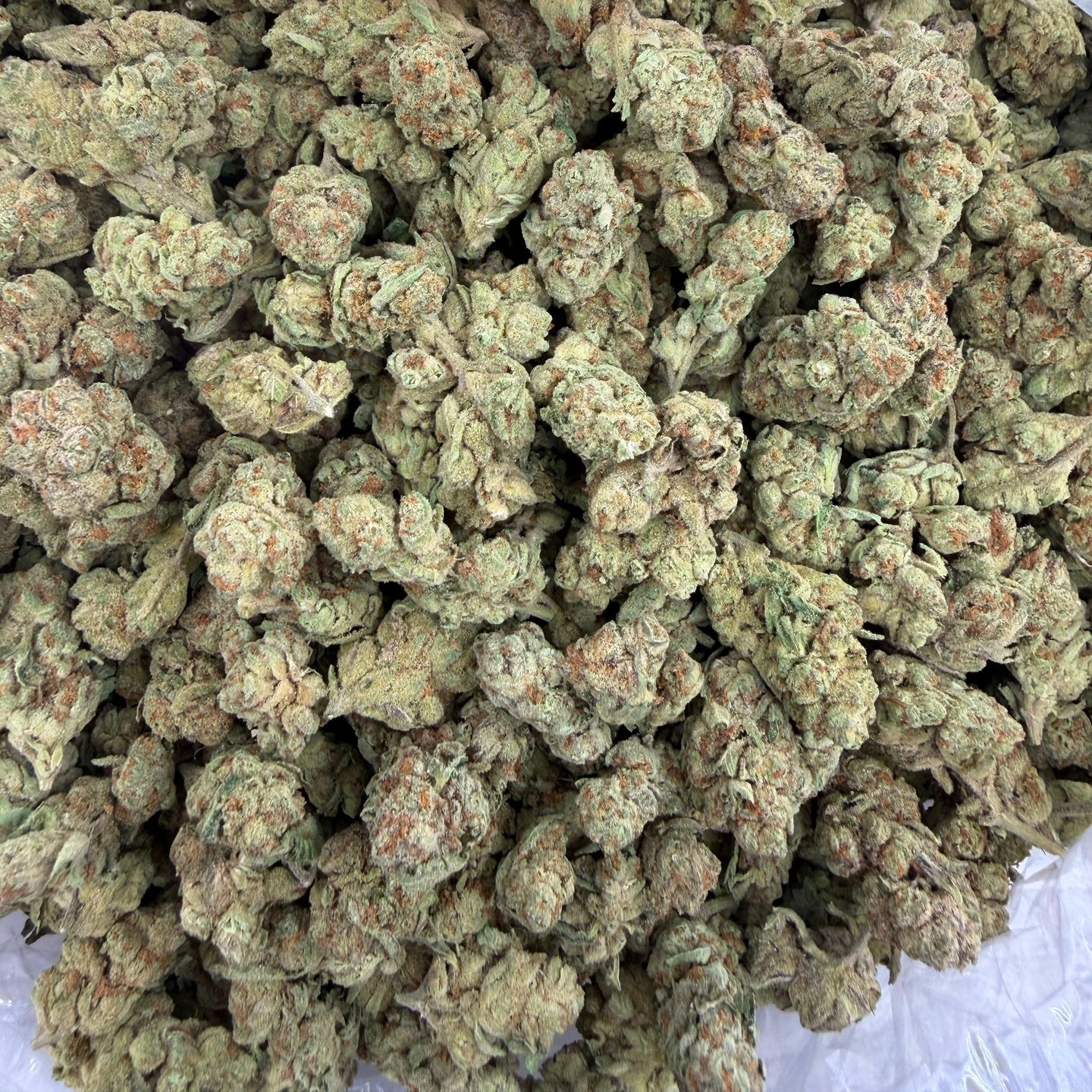 Captain Crunch bulk THCA flower — Plain Jane 1 lb