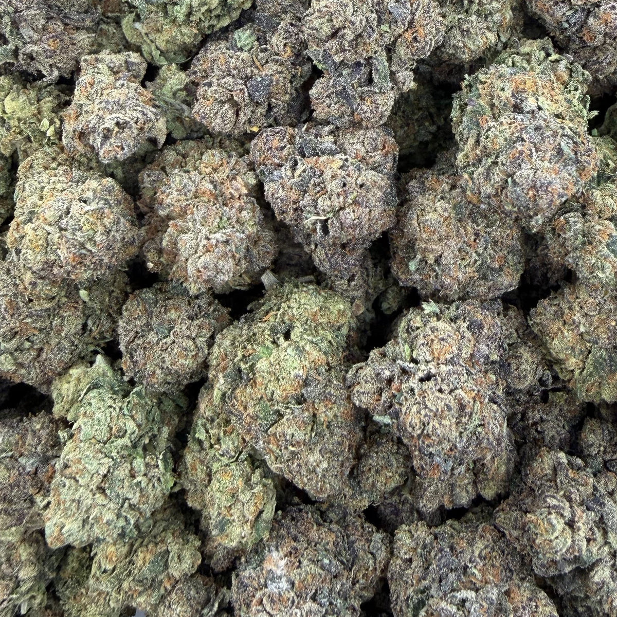 Captain Crunch bulk THCA flower — Plain Jane 1 lb