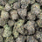 Captain Crunch bulk THCA flower — Plain Jane 1 lb