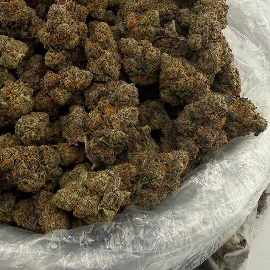 Caviar Gold bulk THCA flower — Plain Jane 1 lb