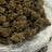 Caviar Gold bulk THCA flower — Plain Jane 1 lb