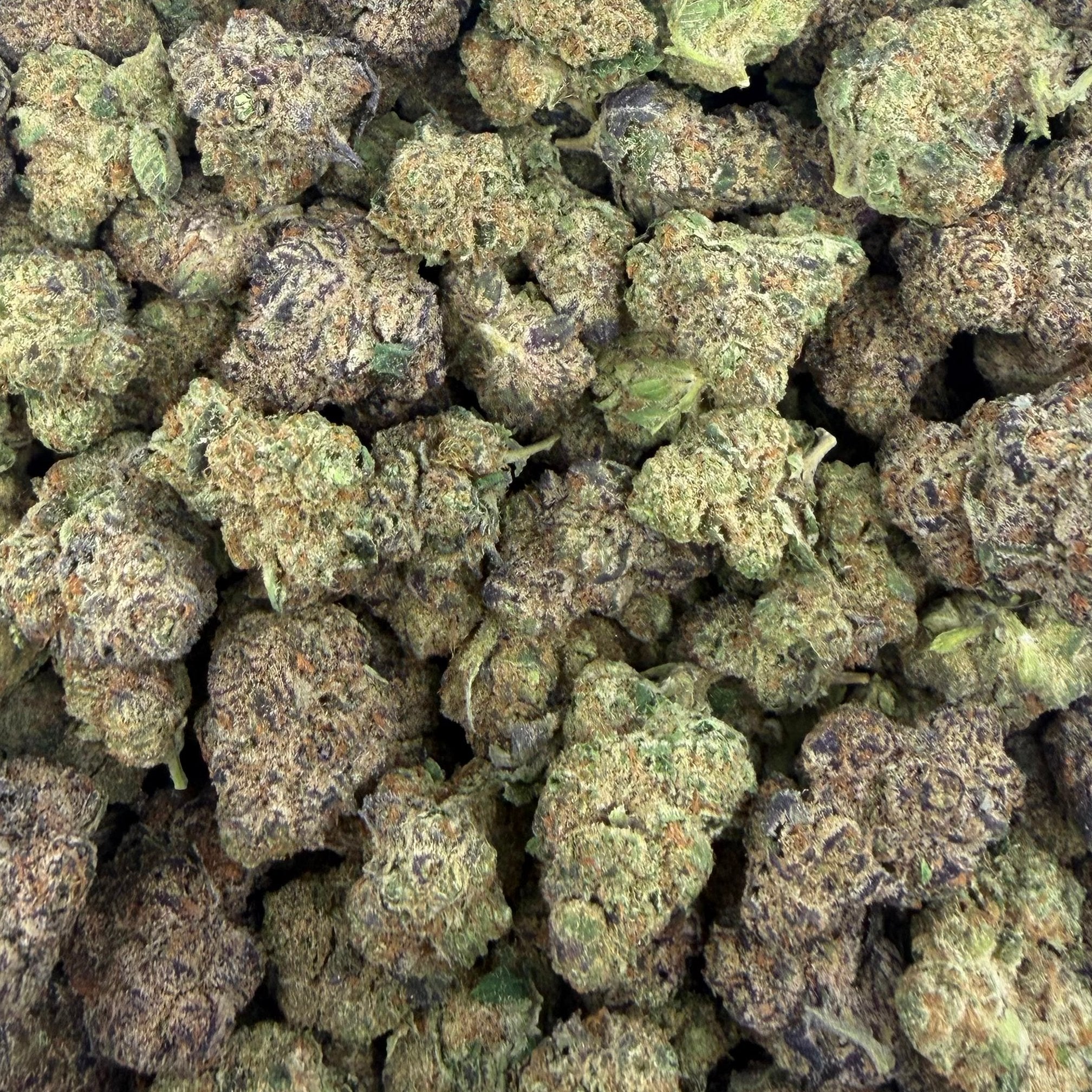 Caviar Gold bulk THCA flower — Plain Jane 1 lb
