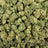 Caviar Gold bulk THCA flower — Plain Jane 1 lb