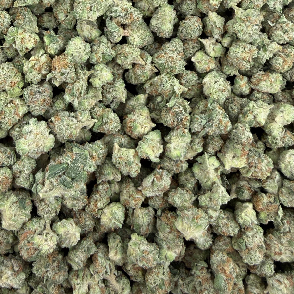 Caviar Gold bulk THCA flower — Plain Jane 1 lb