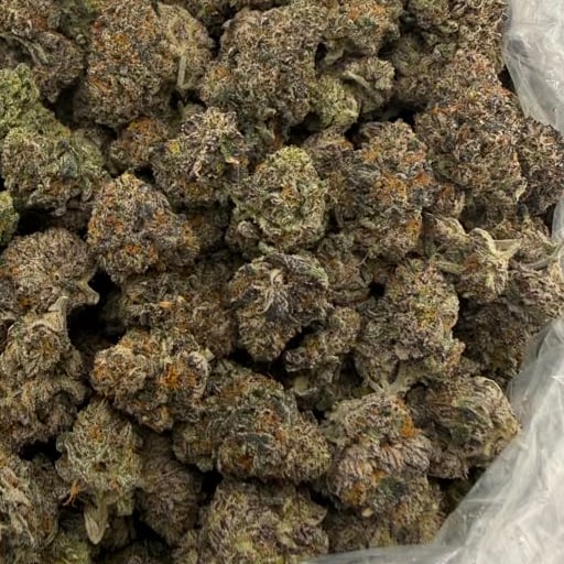 Cereal Milk bulk THCA flower — Plain Jane 1 lb