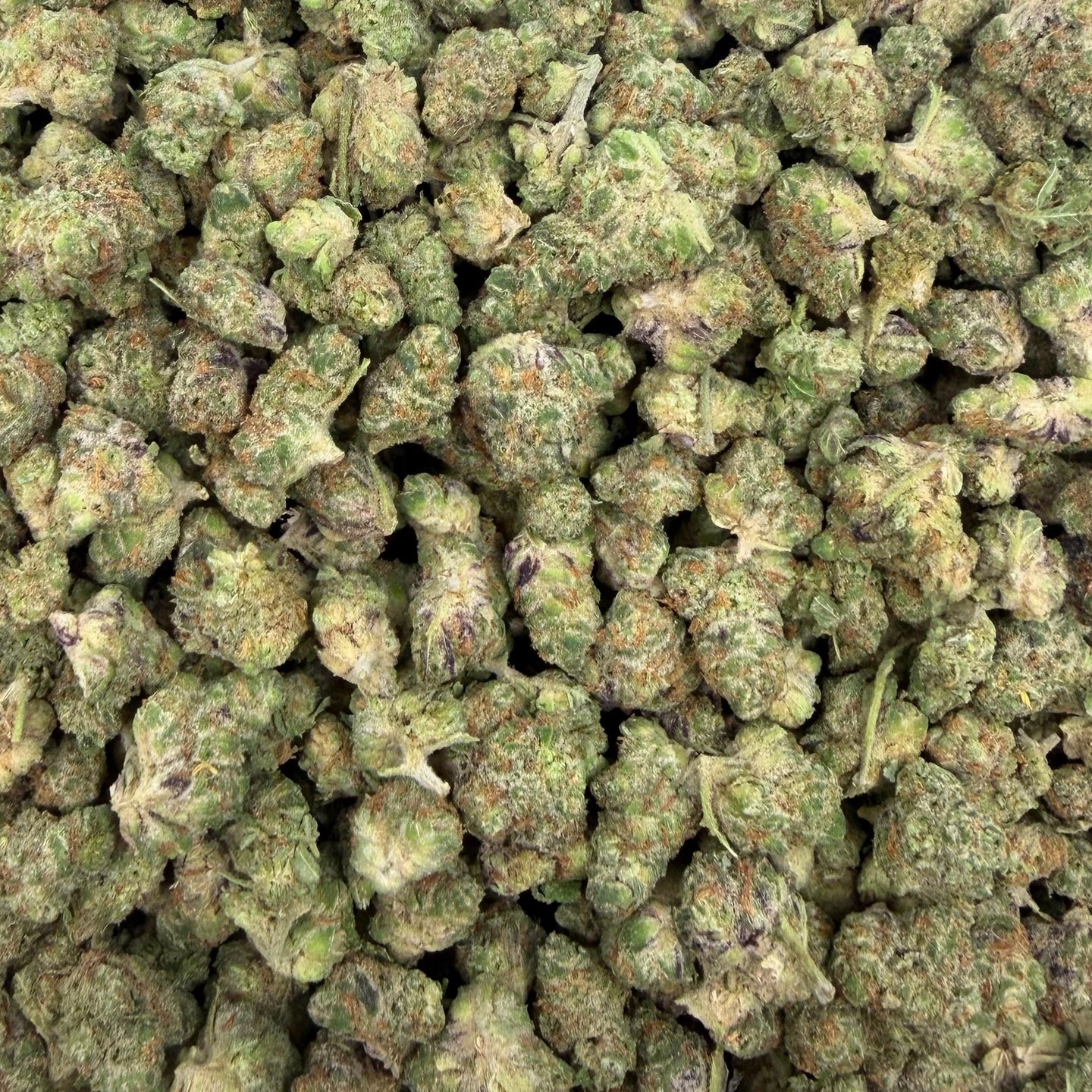 Cereal Milk bulk THCA flower — Plain Jane 1 lb