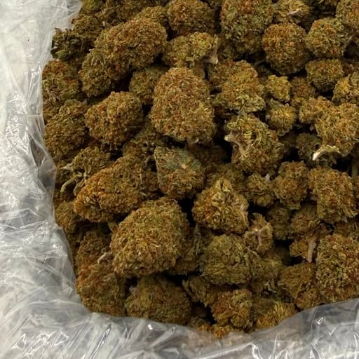 Chapel Of Love bulk THCA flower — Plain Jane 1 lb