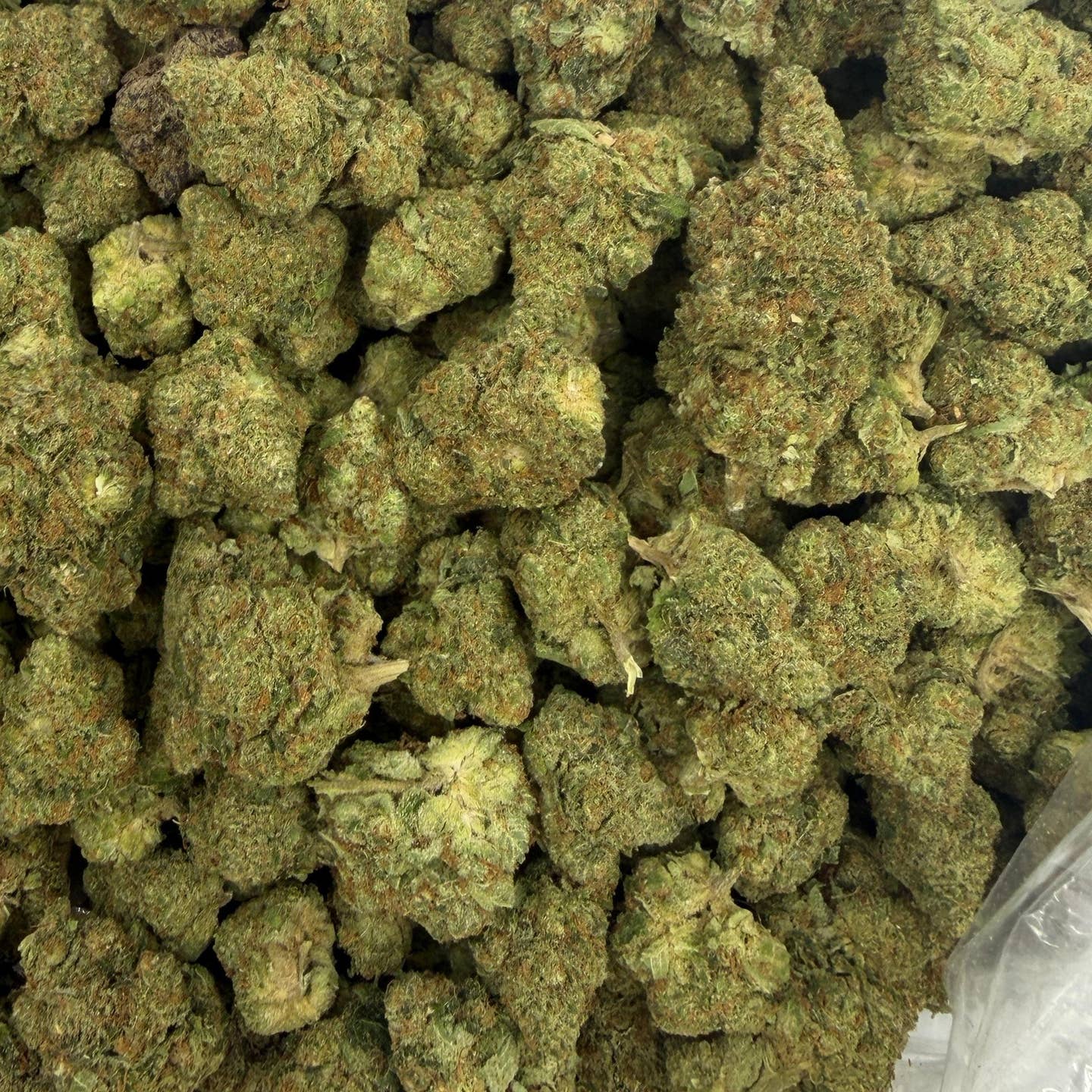 Chapel of Love bulk THCA flower — Plain Jane 1 lb