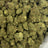 Chapel of Love bulk THCA flower — Plain Jane 1 lb