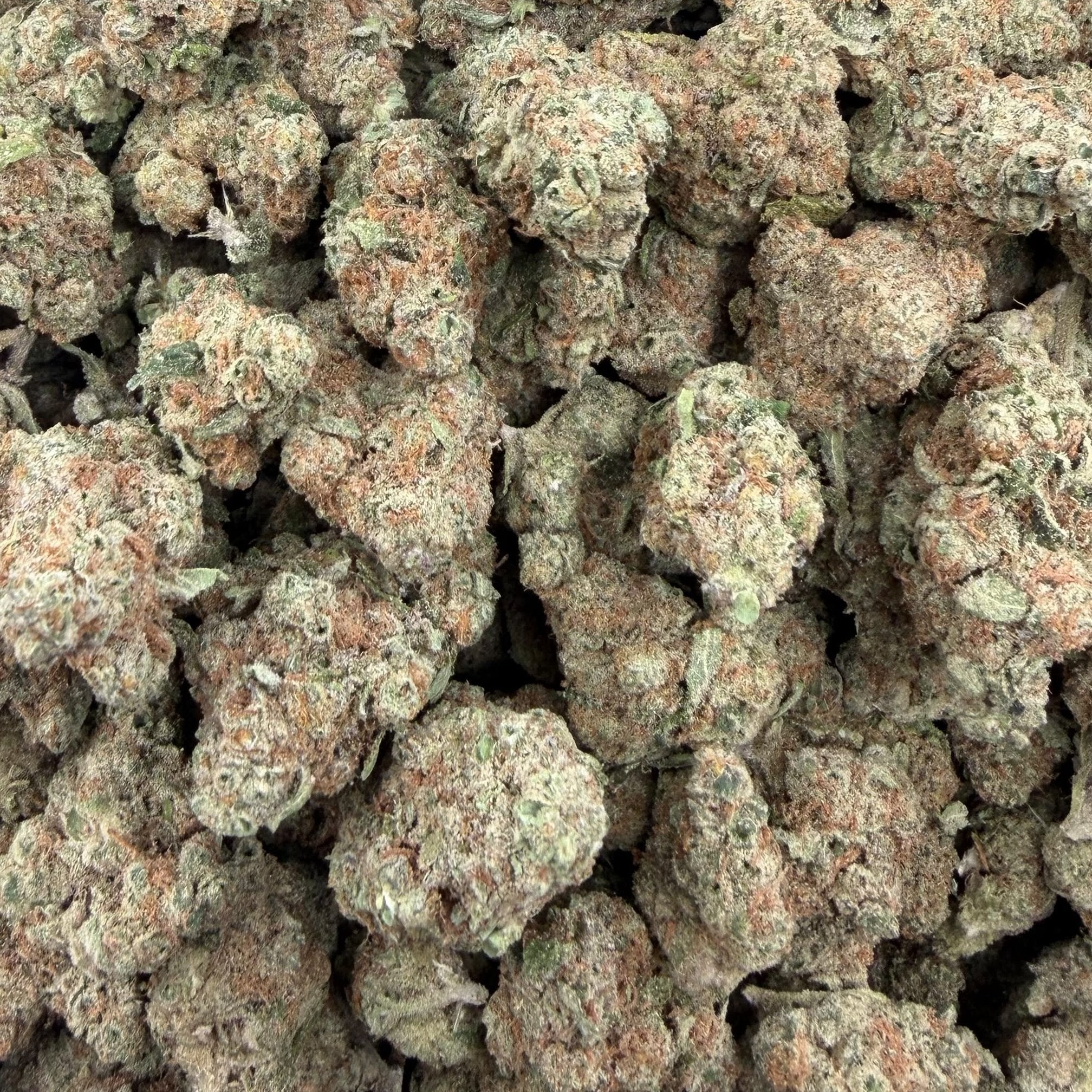 Cheddar Cheese bulk THCA flower — Plain Jane 1 lb