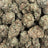 Cheetah Piss bulk THCA flower — Plain Jane 1 lb