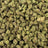 Cheetah Piss bulk THCA flower — Plain Jane 1 lb
