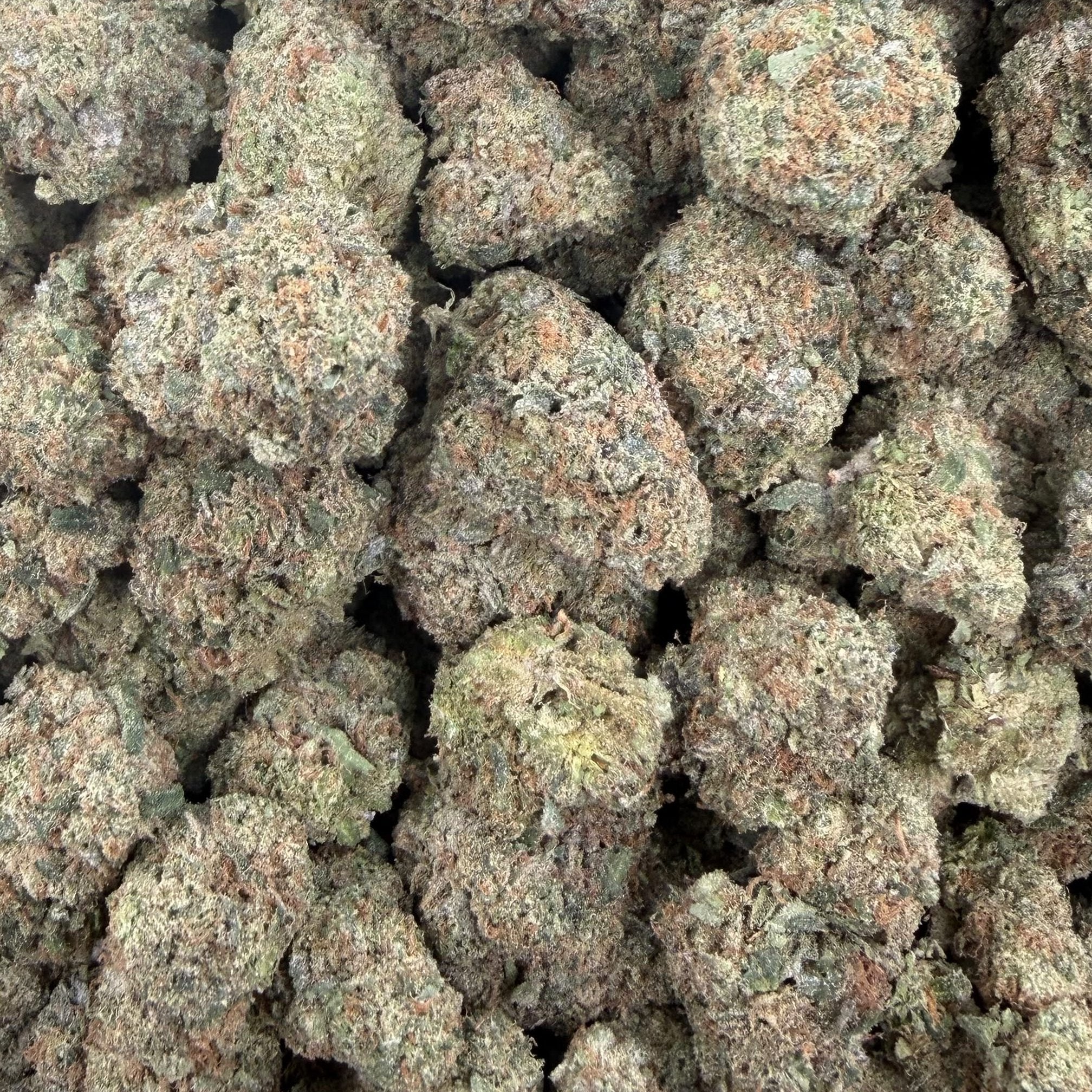 Cherry Cream Float bulk THCA flower — Plain Jane 1 lb