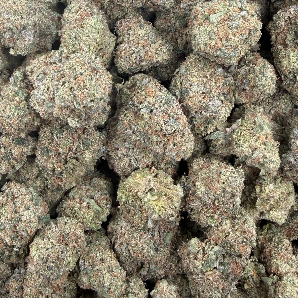 Cherry Cream Float bulk THCA flower — Plain Jane 1 lb