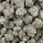 Cherry Garcia bulk THCA flower — Plain Jane 1 lb