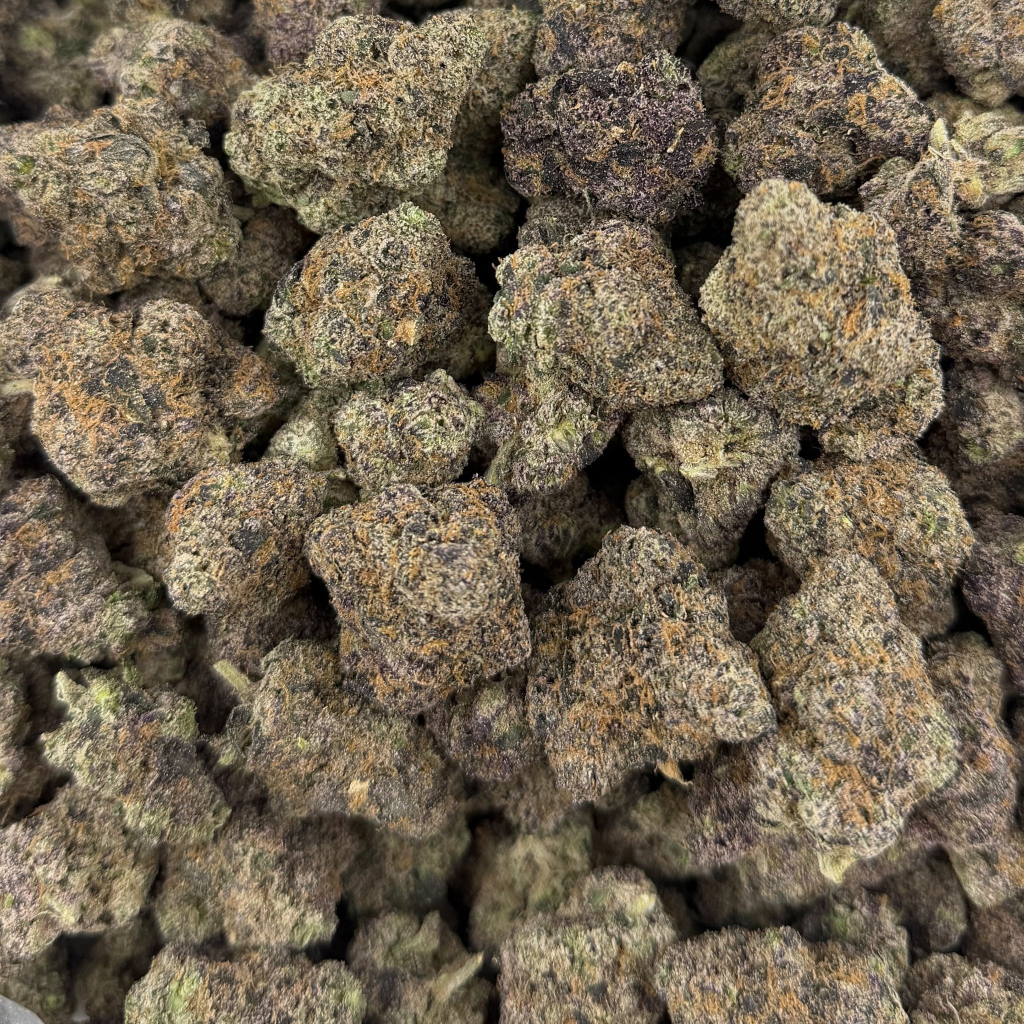 Cherry Garcia bulk THCA flower — Plain Jane 1 lb