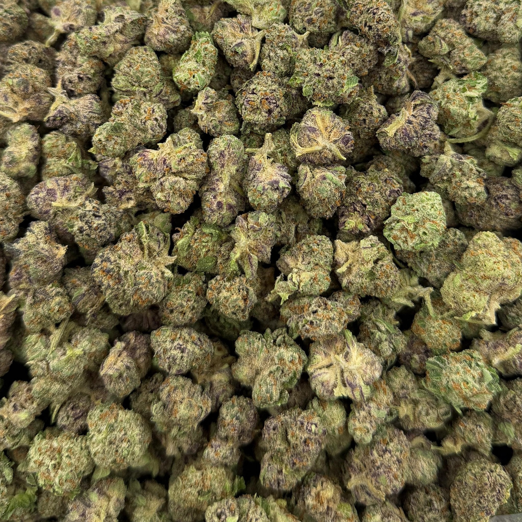 Cherry Garcia bulk THCA flower — Plain Jane 1 lb