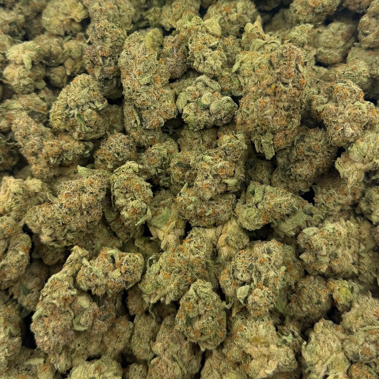 Cherry Glaze bulk THCA flower — Plain Jane 1 lb