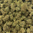 Cherry Glaze bulk THCA flower — Plain Jane 1 lb