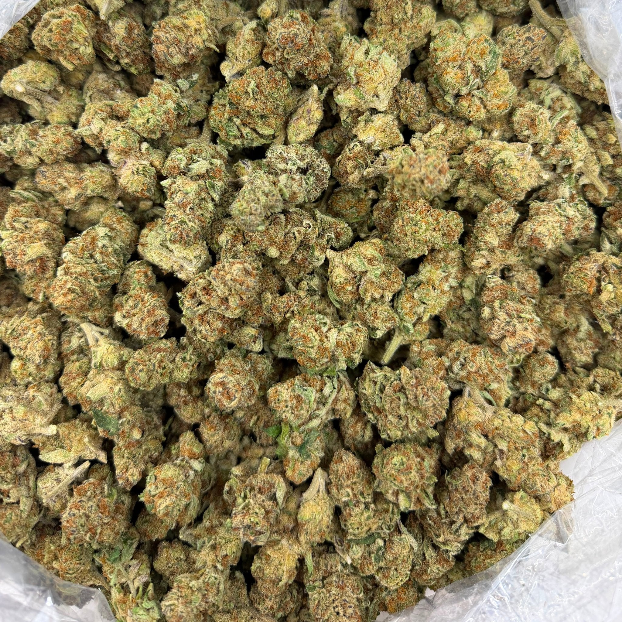 Cherry Kola bulk THCA flower — Plain Jane 1 lb