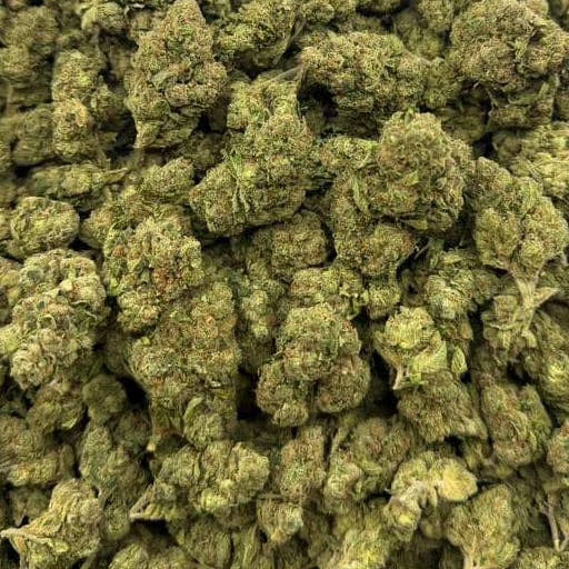 Cherry Kola bulk THCA flower — Plain Jane 1 lb