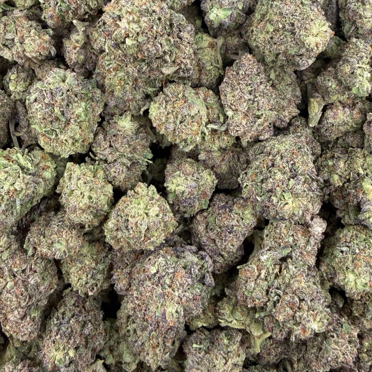 Cherry Kola bulk THCA flower — Plain Jane 1 lb