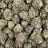 Cherry Kola bulk THCA flower — Plain Jane 1 lb