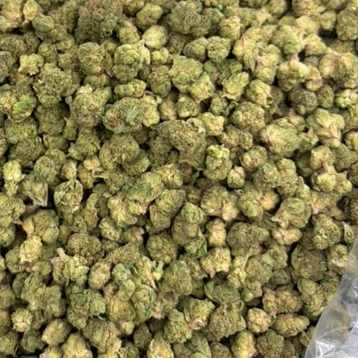 Cherry Kola bulk THCA flower — Plain Jane 1 lb