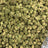 Cherry Kola bulk THCA flower — Plain Jane 1 lb