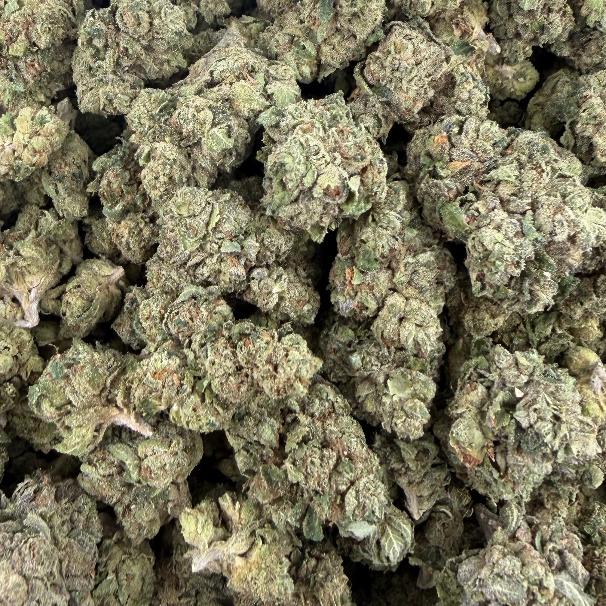 Cherry OG bulk THCA flower — Plain Jane 1 lb
