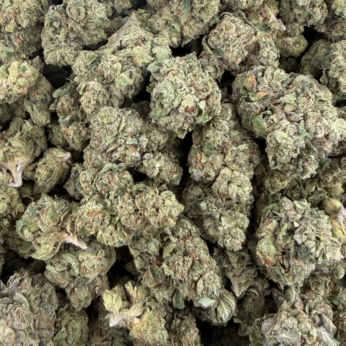 Cherry OG bulk THCA flower — Plain Jane 1 lb