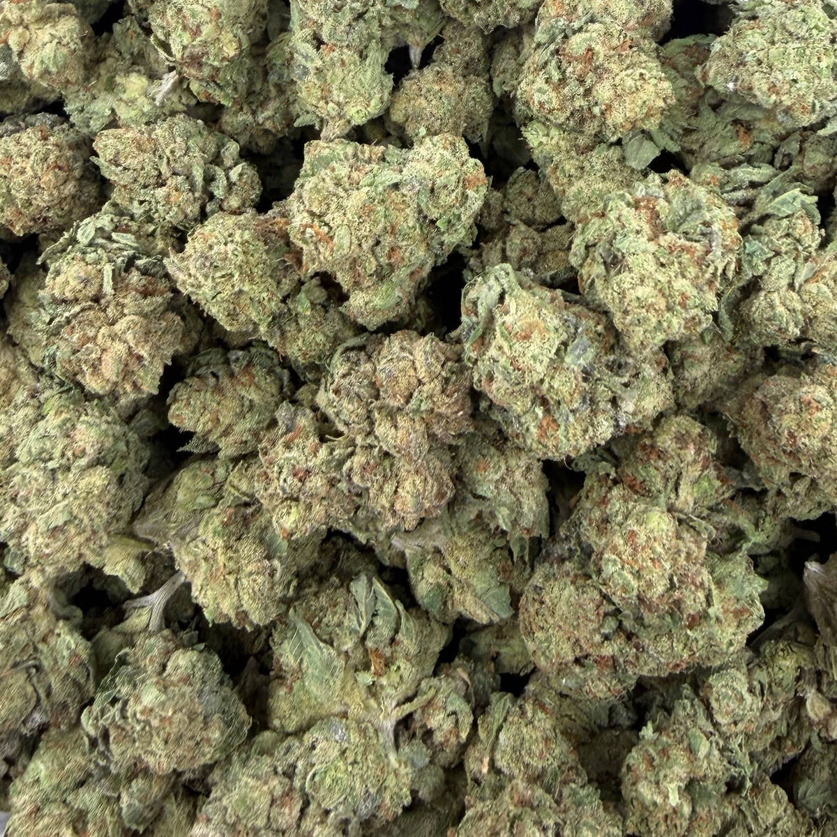 Cherry OG bulk THCA flower — Plain Jane 1 lb