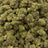 Cherry Orchid bulk THCA flower — Plain Jane 1 lb