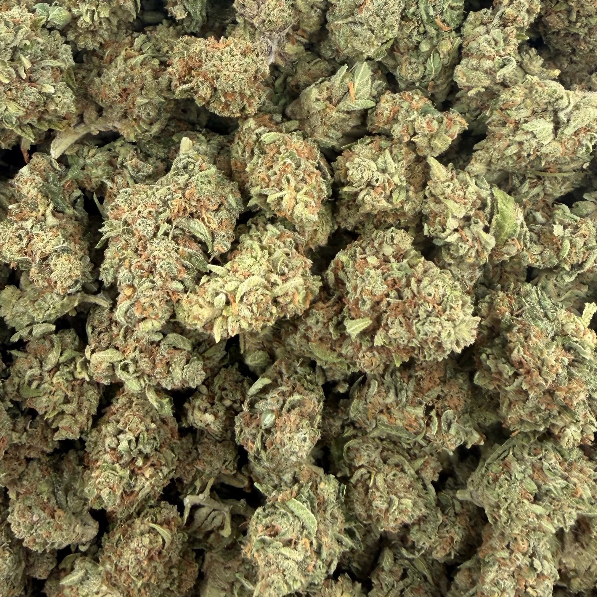 Cherry Slushie bulk THCA flower — Plain Jane 1 lb